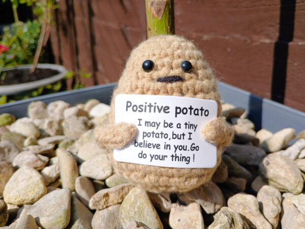 buy handmade crochet-positive potato